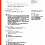 STROKE-OWL-Presseinfo